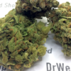 Random Weed - 4 gram